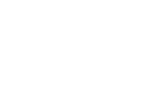 Hanson Robotics