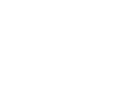 Redefine Meat